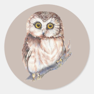 Adesivo Coruja Fofa, Pássaro Aquarela Natureza,