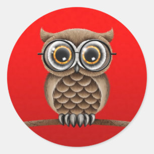 Adesivo Coruja macia bonito de Brown com os vidros de
