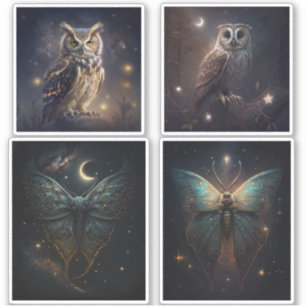 Adesivo Coruja mágica da floresta. Borboleta-mariposa notu