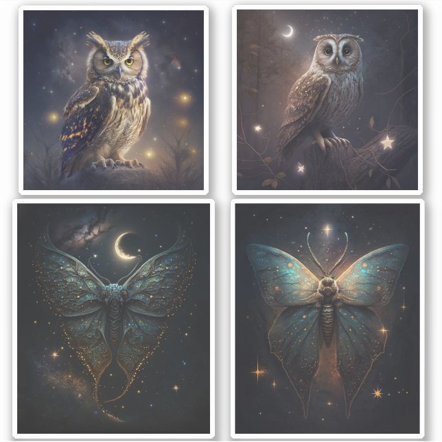 Adesivo Coruja mágica da floresta. Borboleta-mariposa notu (Frente)