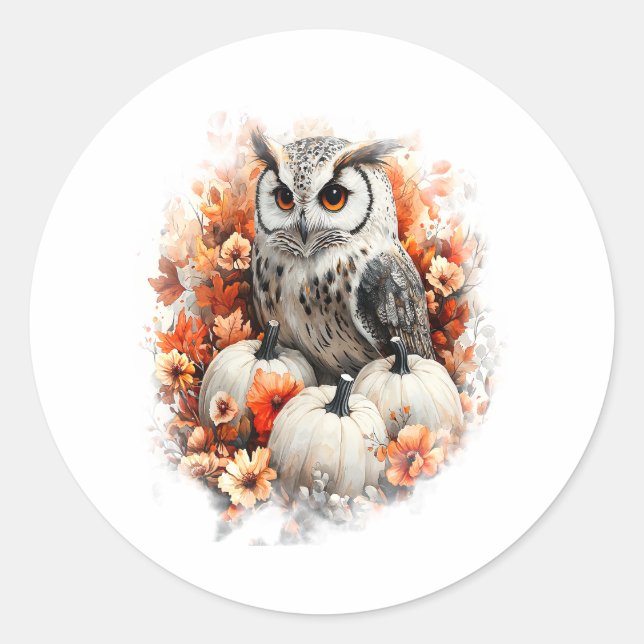Adesivo Coruja - Pumpkin (Frente)