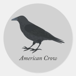 Adesivo Corvo Americano