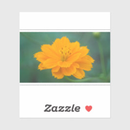 Adesivo Cosmo Enxofre 02