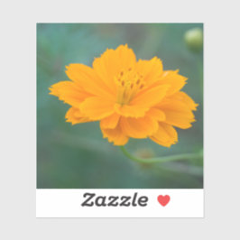 Adesivo Cosmo Enxofre 04