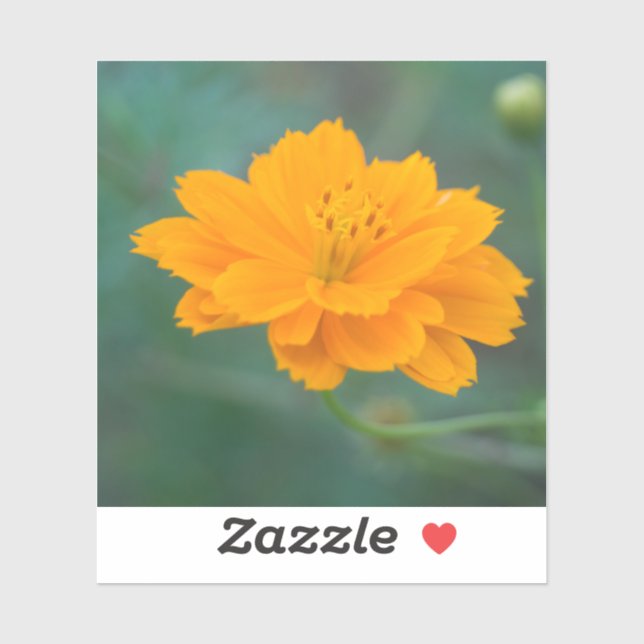 Adesivo Cosmo Enxofre 04 (Folha)