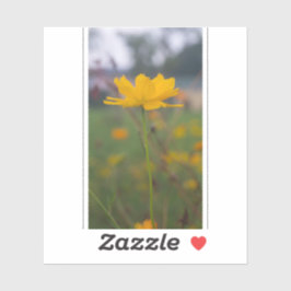 Adesivo Cosmo Enxofre 05