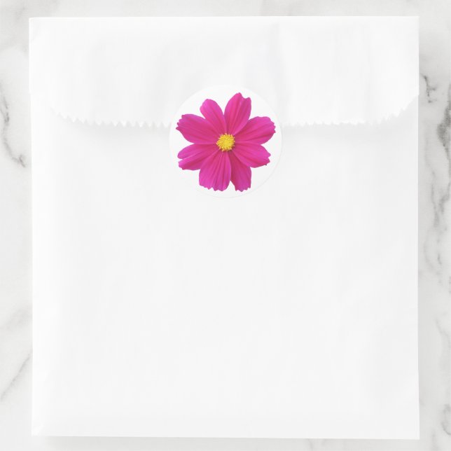 Adesivo Cosmos Sticker (Bolsa)