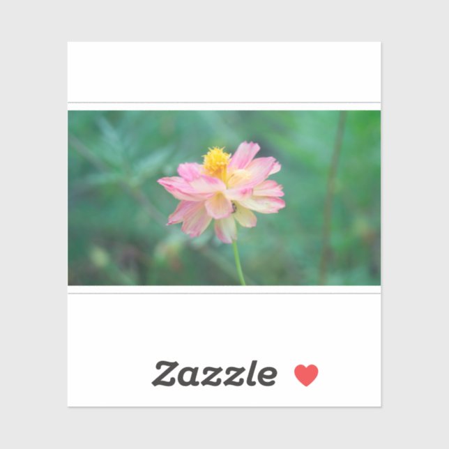 Adesivo Cosmos Sulfur 04 (Folha)