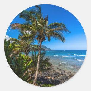 Adesivo Costa tropical