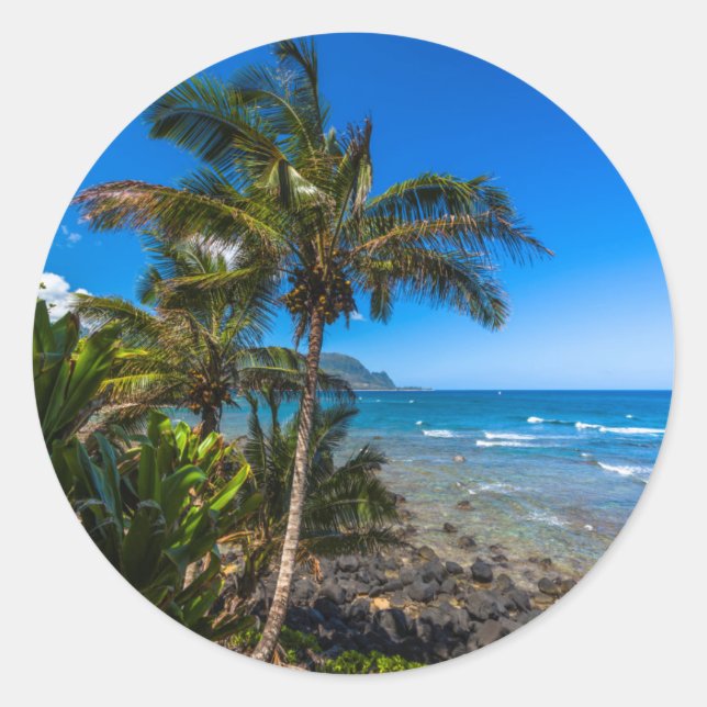 Adesivo Costa tropical (Frente)