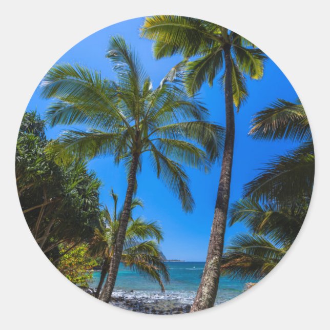 Adesivo Costa tropical 2 (Frente)