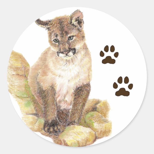 Adesivo Cougar, Puma, Trilhas De Cubo Animal De Leão Monta (Frente)