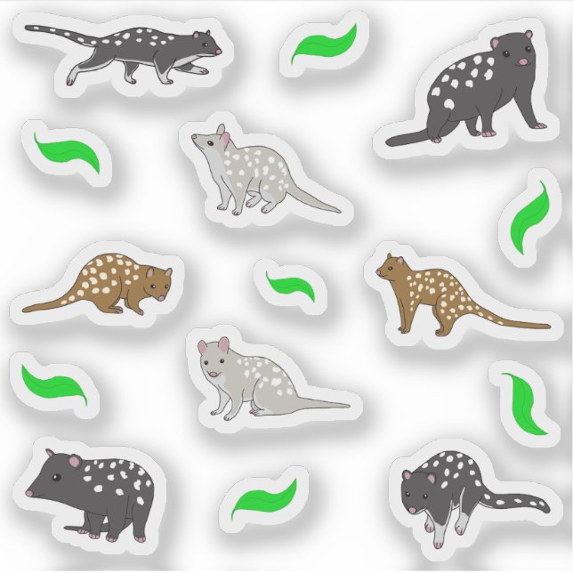 Adesivo Coulls (Frente)