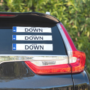 Adesivo County Down Irish Reg Plate Decide Stickers x 3