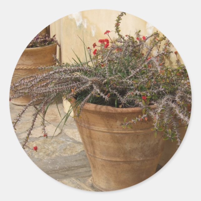 Adesivo Courtyard Stickers (Frente)