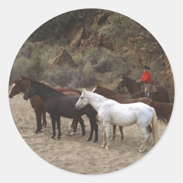 Adesivo Cowboy com Herd (Frente)