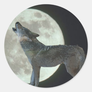 Adesivo Coyote Howling na Lua