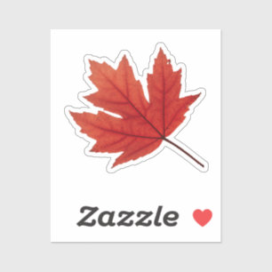 Adesivo Cozy Autumn Vibes: Fall Season