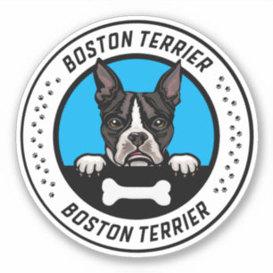 Adesivo Crachá de Ilustração de Peeking de Boston Terrier