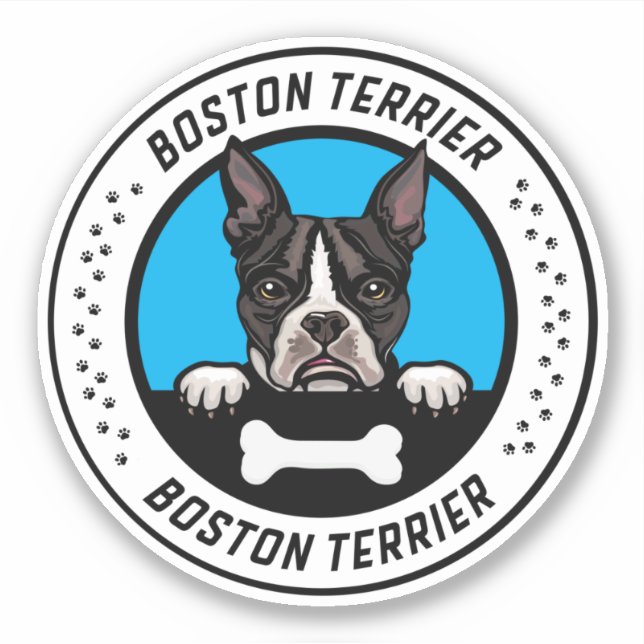 Adesivo Crachá de Ilustração de Peeking de Boston Terrier (Frente)