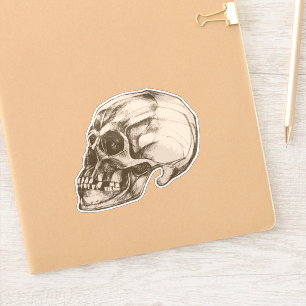 Adesivo Cranium de Halloween em Vinil