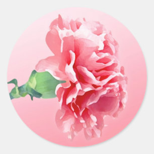 Adesivo Cravo cor-de-rosa