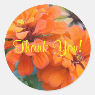 Adesivo Cravos-de-defunto alaranjados