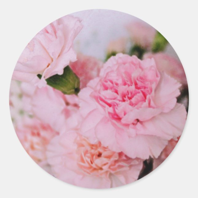 Adesivo cravos rosa flores estilo vintage fotografia (Frente)