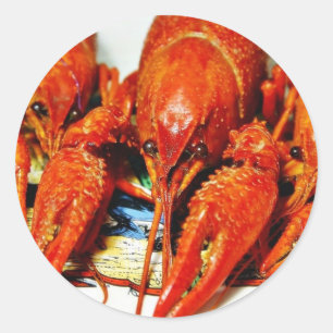 Adesivo Crawdads Craytfish dos lagostins
