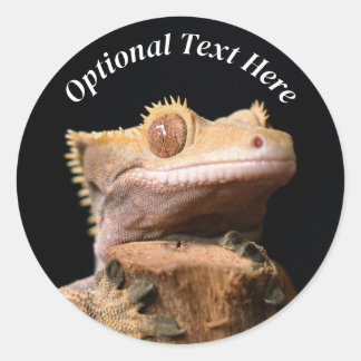 Adesivo Crested Gecko Lizard em preto