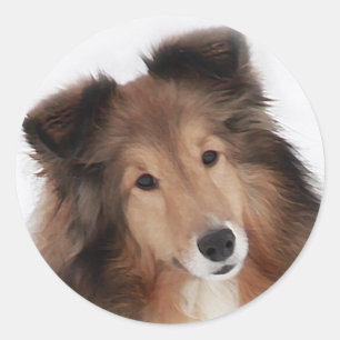 Adesivo Criação de Shelties