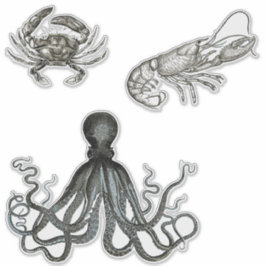 Adesivo Criações Marinhas - Vinhetas Transparentes