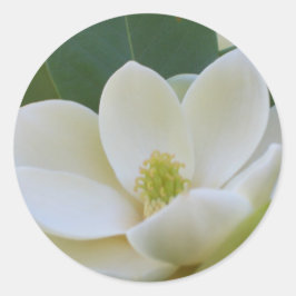Adesivo CricketDiane Southern Magnolias
