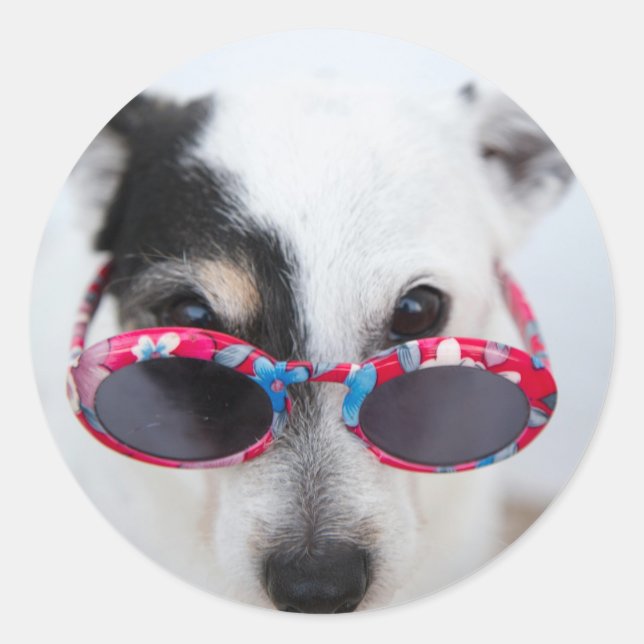 Adesivo Crie Moderno Sua Própria Foto Personalizada (Frente)