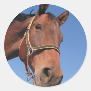 Adesivo Crie seu próprio presente personalizado de fotos