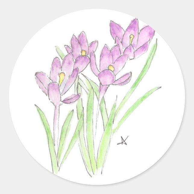 Adesivo crocodilo (Frente)