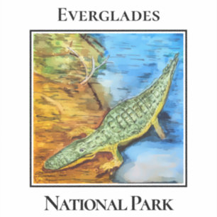 Adesivo Crocodilo no Parque Nacional Everglades