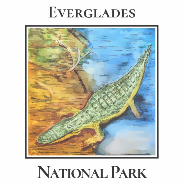 Adesivo Crocodilo no Parque Nacional Everglades (Frente)