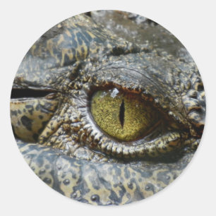 Adesivo crocodilo ocular animal personalize diy personaliz