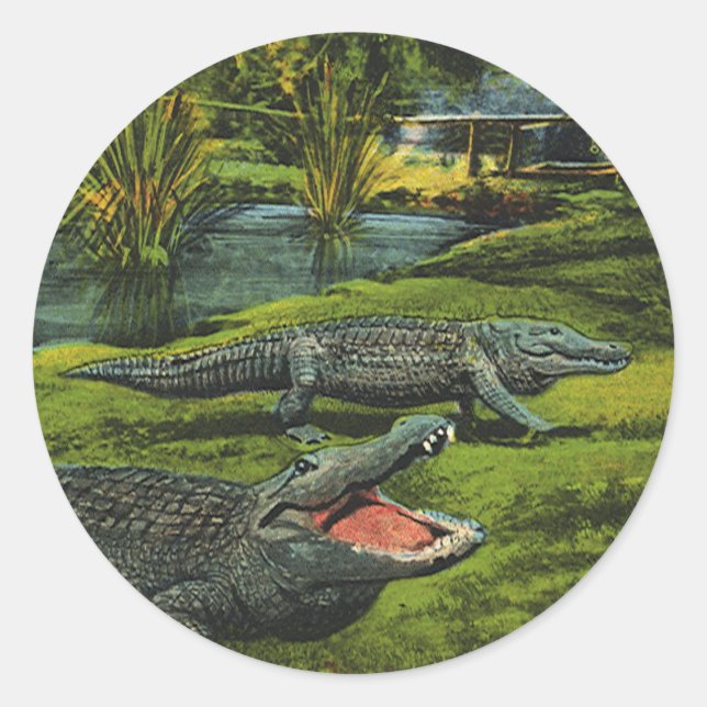 Adesivo Crocodilos Vintage, Animais da Marinha Répteis (Frente)
