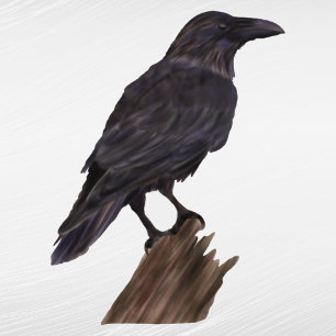 Adesivo Crow Watercolor Preto do Halloween