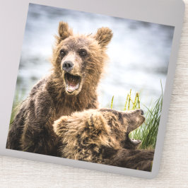 Adesivo Cubos Grizzly Procurando Sua Mãe