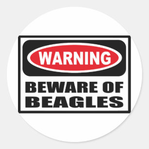 Adesivo CUIDADO COM O BEAGLES Sticker