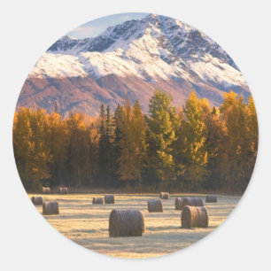 Adesivo Cultivo de Alaska