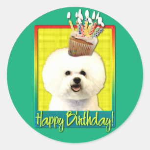Adesivo Cupcake de aniversário - Bichon Frise