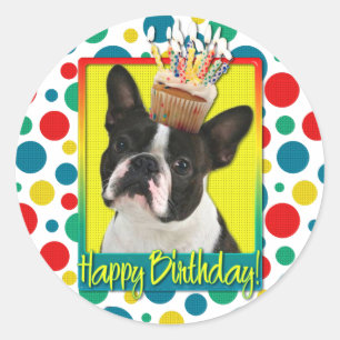 Adesivo Cupcake do aniversário - Boston Terrier