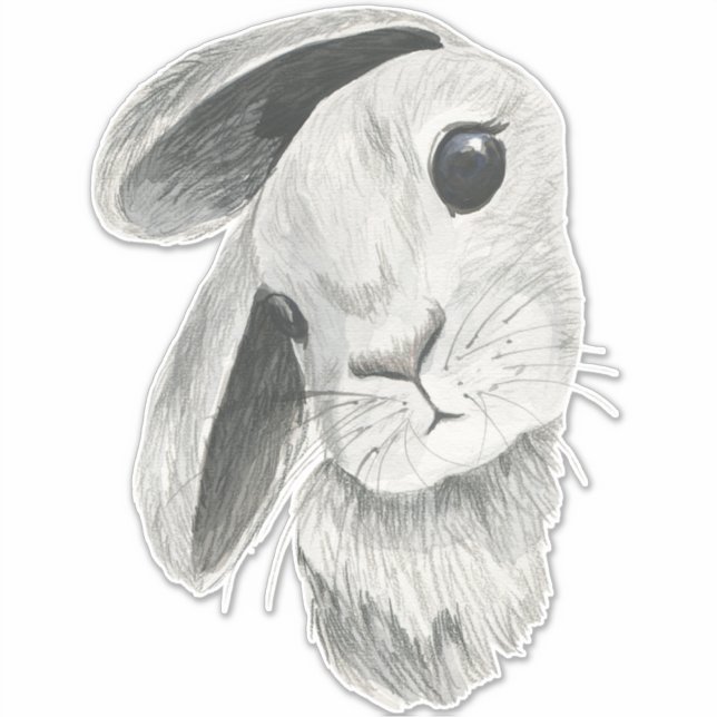 Adesivo Curiosa decoração de quarto de bebê coelho (Frente)