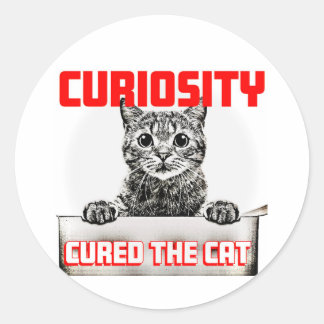 Adesivo Curiosidade Curou o Gato