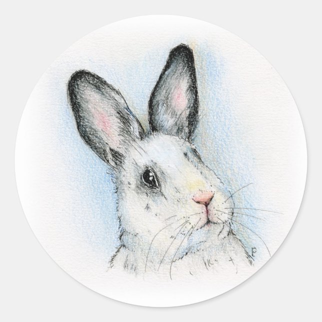 Adesivo Curioso (Frente)