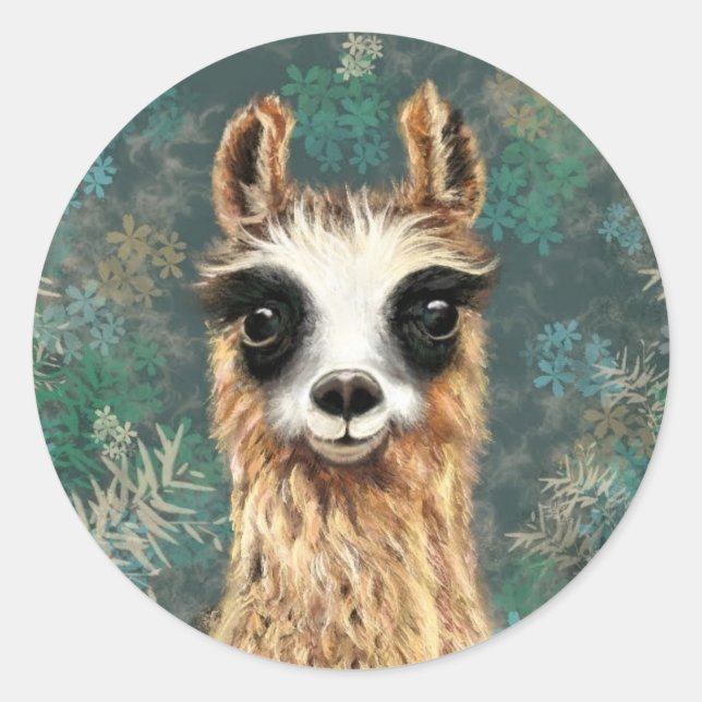 Adesivo Curioso Baby Llama Funny Sticker Alpaca (Frente)